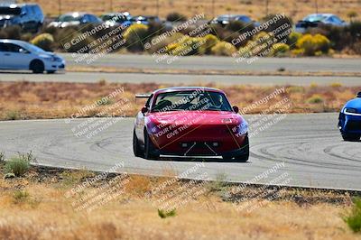 media/Nov-16-2024-Extreme Speed (Sat) [[6587d07cc4]]/Red Group/Session 2 (Turns 3 and 5)/